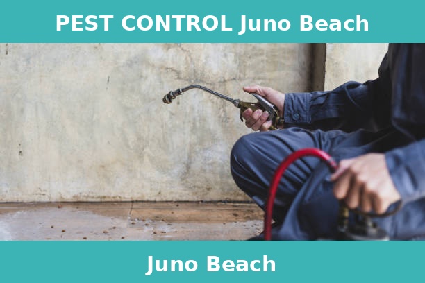 PEST CONTROL Juno Beach